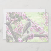 Phoebe in een Redbud Tree Trouwbenodigdheden Kaart (Achterkant)