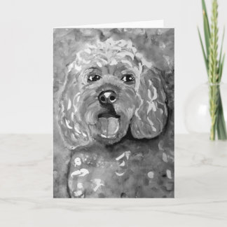PhoebethePrincess, Cavapoo, de Kaart van Groeten