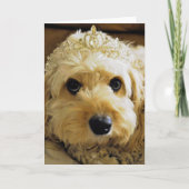 PhoebethePrincess, Cavapoo Greetings Card Kaart (Voorkant)