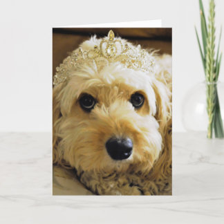 PhoebethePrincess, Cavapoo Greetings Card Kaart