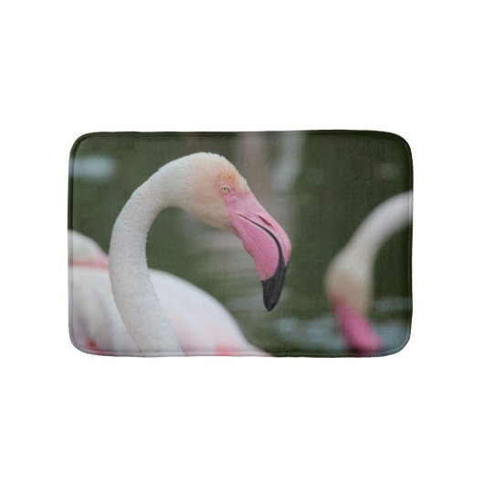 Phoenicopterus roseus badmat (Voorkant)