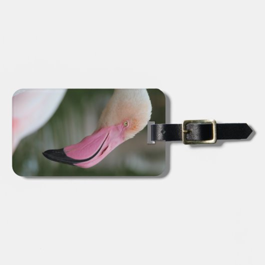 Phoenicopterus roseus bagagelabel (Voorkant horizontaal)