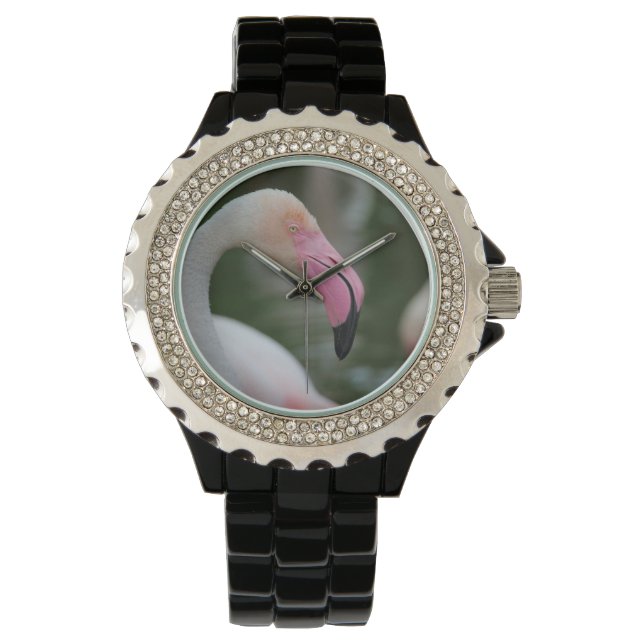 Phoenicopterus roseus horloge (Voorkant)