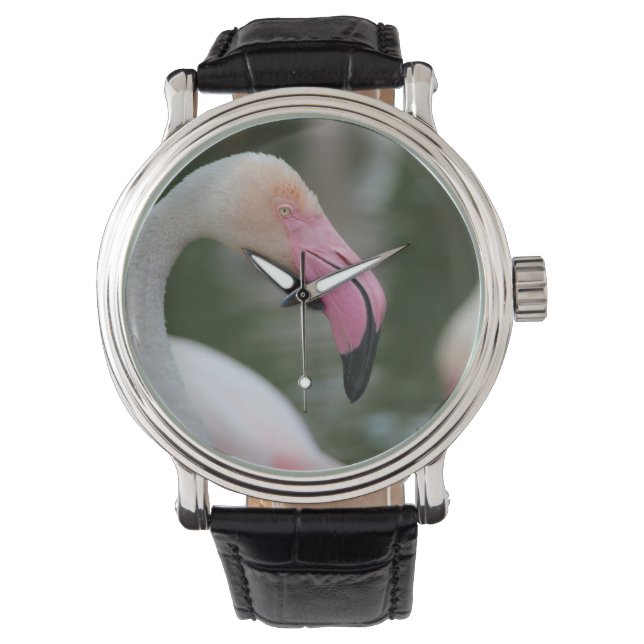Phoenicopterus roseus horloge (Voorkant)