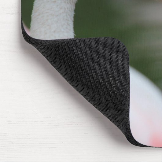 Phoenicopterus roseus muismat (Hoek)