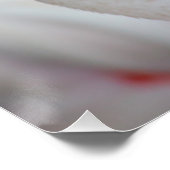 Phoenicopterus roseus poster (Hoek)