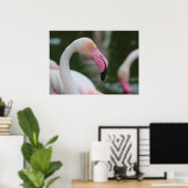 Phoenicopterus roseus poster (Thuiskantoor)