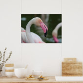 Phoenicopterus roseus poster (Keuken)