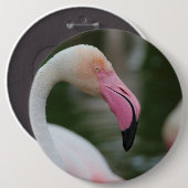 Phoenicopterus roseus ronde button 6,0 cm (Voorkant /achterkant)