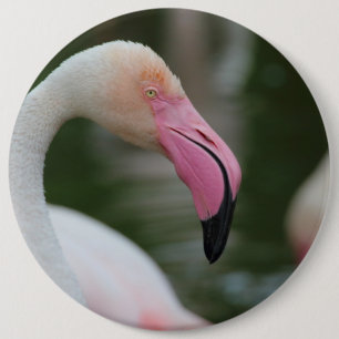 Phoenicopterus roseus ronde button 6,0 cm