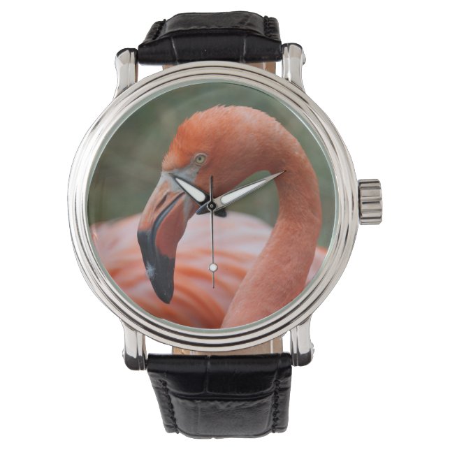 Phoenicopterus ruber horloge (Voorkant)
