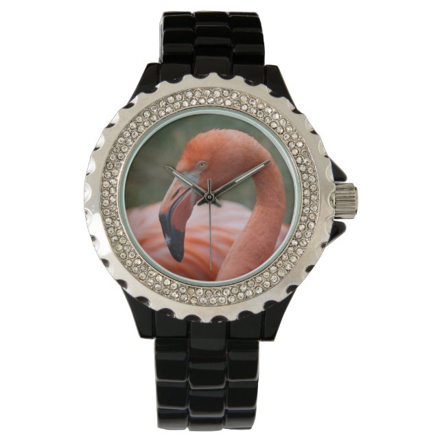 Phoenicopterus ruber horloge (Voorkant)