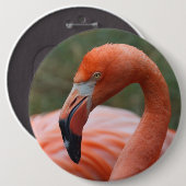 Phoenicopterus ruber ronde button 6,0 cm (Voorkant /achterkant)