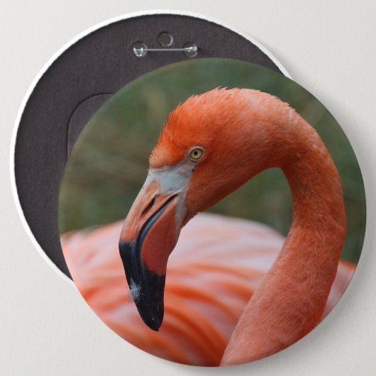 Phoenicopterus ruber ronde button 6,0 cm (Voorkant /achterkant)