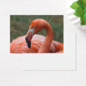 Phoenicopterus ruber visitekaartjes (Bureau)