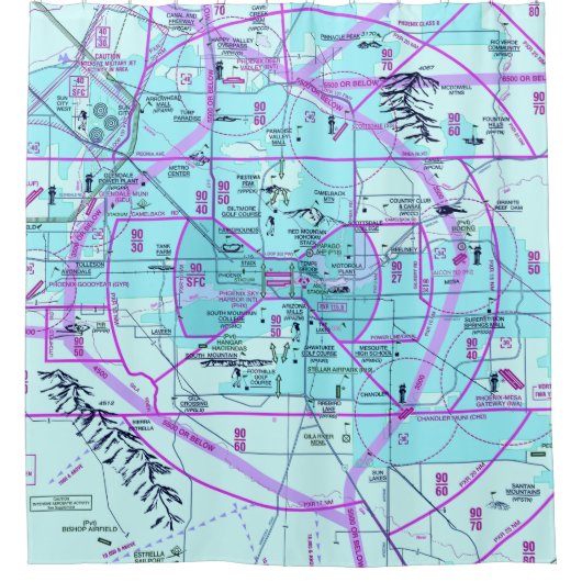 Phoenix Airport Flyway Chart Douchegordijn (Voorkant)