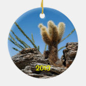 Phoenix Arizona Aandenken Keramisch Ornament (Achterkant)