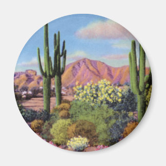 Phoenix Arizona Camelback Mountain Magneet