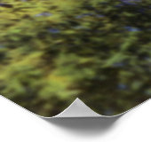 Phoenix Arizona Camelback Mountain Poster (Hoek)