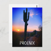 Phoenix Arizona Saguaro Cactus Sunset Souvenir Briefkaart (Voorkant / Achterkant)