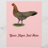 Phoenix: BB Red Hen Flyer (Voorkant)