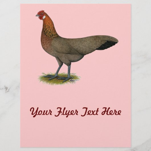 Phoenix: BB Red Hen Flyer (Voorkant)