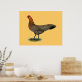 Phoenix: BB Red Hen Poster (Keuken)