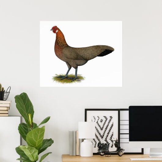 Phoenix: BB Red Hen Poster (Thuiskantoor)