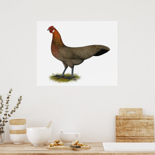 Phoenix: BB Red Hen Poster (Keuken)