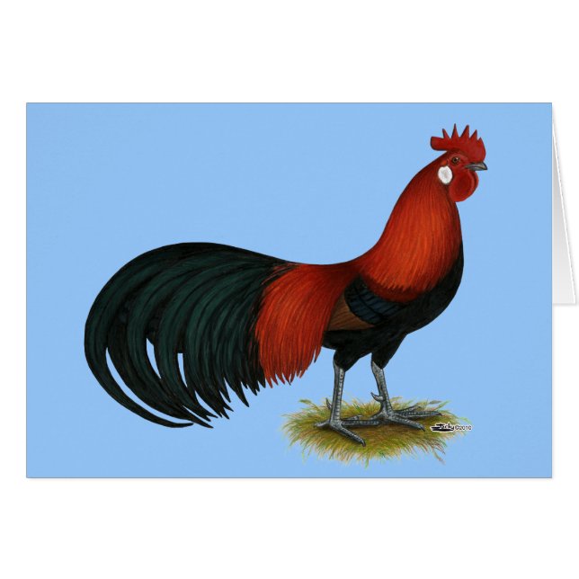 Phoenix: BB Red Rooster (Voorkant Horizontaal)