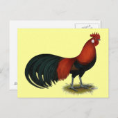 Phoenix:  BB Red Rooster Briefkaart (Voorkant / Achterkant)