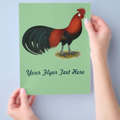 Phoenix:  BB Red Rooster Flyer (Hand)