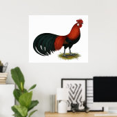 Phoenix: BB Red Rooster Poster (Thuiskantoor)