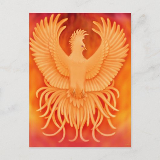 Phoenix Bird Briefkaart (Voorkant)