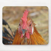 Phoenix blijft de Camera neer Muismat (Voorkant)