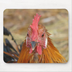 Phoenix blijft de Camera neer Muismat