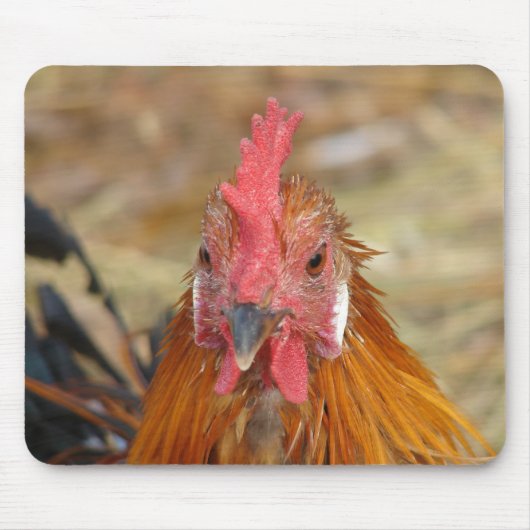 Phoenix blijft de Camera neer Muismat (Voorkant)