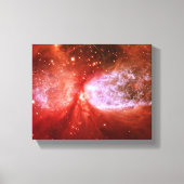 Phoenix Canvas Afdruk (Voorkant)