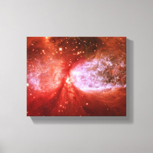 Phoenix Canvas Afdruk