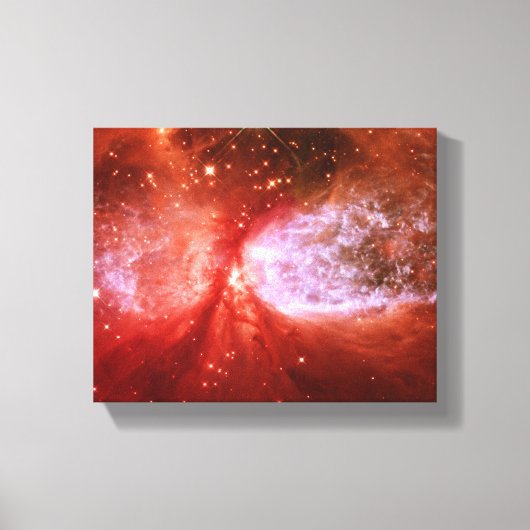 Phoenix Canvas Afdruk (Voorkant)