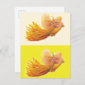 Phoenix - De vogel die herboren is Aankondigingskaart (Voorkant / Achterkant)