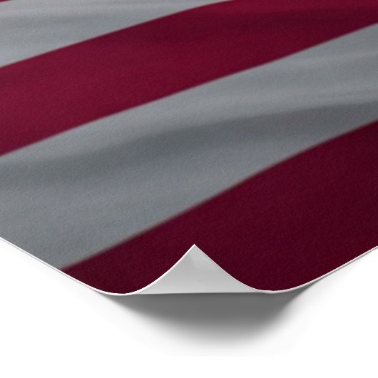 Phoenix en de vlag poster (Hoek)