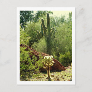 Phoenix Flora Briefkaart