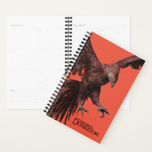 Phoenix Flying Graphic Planner (Display)