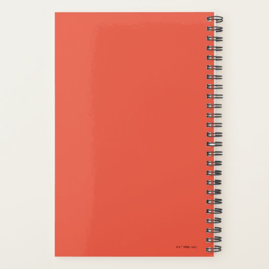 Phoenix Flying Graphic Planner (Achterkant)