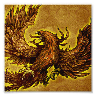 Phoenix Foto Afdruk