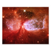 Phoenix Foto Afdruk (Voorkant)