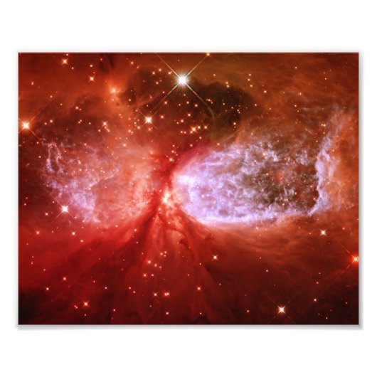 Phoenix Foto Afdruk (Voorkant)