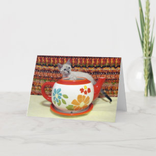 Phoenix - Het testen van de wateren - Wenskaart Kaart