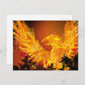 Phoenix in het Briefkaart (Voorkant / Achterkant)